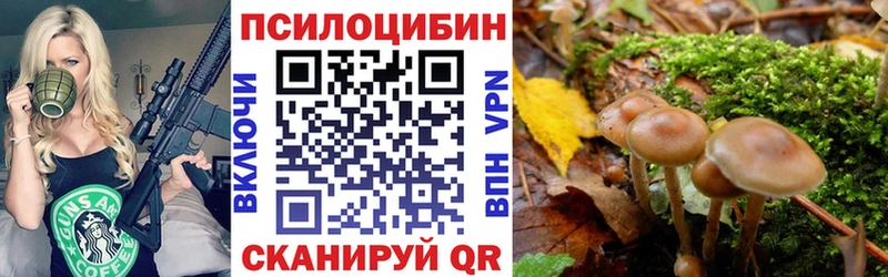 Псилоцибиновые грибы Magic Shrooms  гидра ССЫЛКА  Старица  купить  сайты 